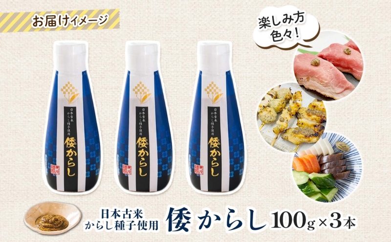  美ノ久 倭からし 100g×3本 和カラシ 和からし からし 調味料 アレンジ 香辛料 風味豊か 肉料理 野菜料理 魚料理 浅漬け 漬物 常備 すっきり 辛い 馴染みやすい 使いやすい 便利 万能 万能調味料 お取り寄せ ご当地 送料無料 岐阜県 安八町