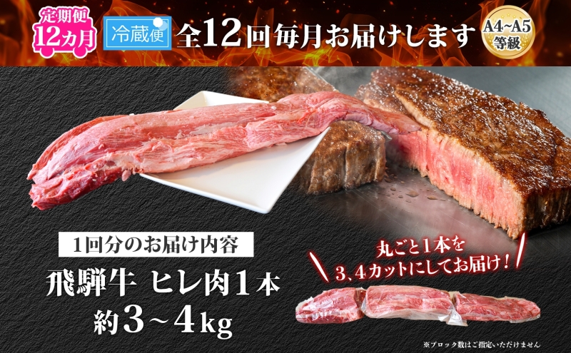 定期便 12ヶ月 飛騨牛 ヒレ肉 1本 A4～A5等級 約3～4kg  3割×6  ヒレ シャトーブリアン 肉 牛肉 ブランド牛 お肉 和牛 贅沢 お取り寄せ ご褒美 ステーキ 豪華 グルメ 焼肉 BBQ ギフト 贈り物 自家用 贈答用 送料無料 焼肉マルイ 岐阜県 安八町