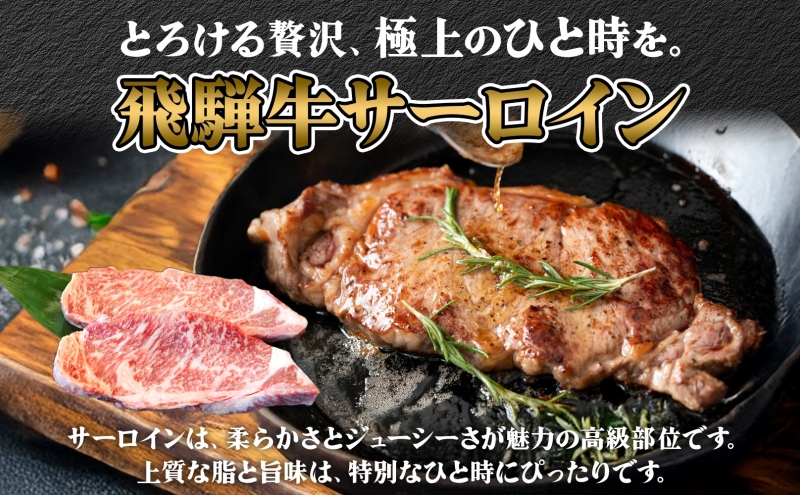 飛騨牛 ステーキ 2種 食べ比べ 計約800g シャトーブリアン サーロイン 各約400g 肉 牛肉 和牛 ブランド牛 お肉 ビーフ A4ランク A5ランク 国産 お取り寄せ ご褒美 豪華 グルメ 焼肉 BBQ 人気 贈り物 自家用 贈答用 送料無料 焼肉マルイ 岐阜県 安八町