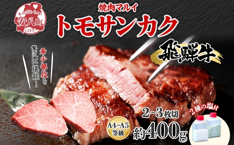 飛騨牛 トモサンカク ステーキ 約400g 2～3枚切り 肉 牛肉 和牛 ブランド牛 お肉 ビーフ A4ランク A5ランク 国産 お取り寄せ ご褒美 豪華 グルメ 焼肉 BBQ パーティー ギフト 人気 贈り物 自家用 贈答用 御礼 プレゼント 送料無料 焼肉マルイ 岐阜県 安八町