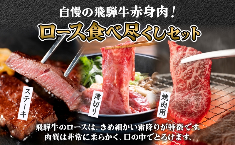 飛騨牛 ロース 食べつくし 約1.2kg  ステーキ 薄切り 焼肉用 各約400g A4ランク A5ランク お肉 牛肉 和牛 国産 ブランド牛 お家焼肉 バーベキュー BBQ 柔らかい 霜降り 旨み 真空パック 冷蔵 タレ付き 自家用 ギフト 送料無料 焼肉マルイ 岐阜県 安八町