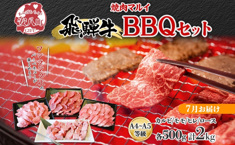 ＜7月に届く＞飛騨牛 BBQ セット 約2kg カルビ 焼肉 モモ ヒレ ロース串 各約500g お肉 牛肉 和牛 国産 ブランド牛 バーべキュー お家焼肉 赤身 冷蔵 真空パック タレ付き 送料無料 焼肉マルイ 岐阜県 安八町