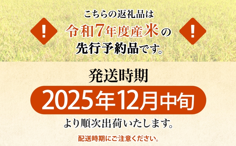 R7年産  特選米 ハツシモ 精米 10kg ×1袋 お米 米 白米 ごはん 新米 精白米 ご飯 はつしも 令和7年産 ブランド米 低農薬 お取り寄せ 産地直送 クリーンファームまき 送料無料 岐阜県 安八町
