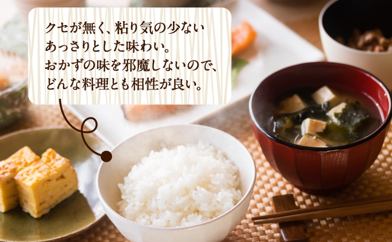 R7年産  特選米 ハツシモ 精米 10kg ×1袋 お米 米 白米 ごはん 新米 精白米 ご飯 はつしも 令和7年産 ブランド米 低農薬 お取り寄せ 産地直送 クリーンファームまき 送料無料 岐阜県 安八町