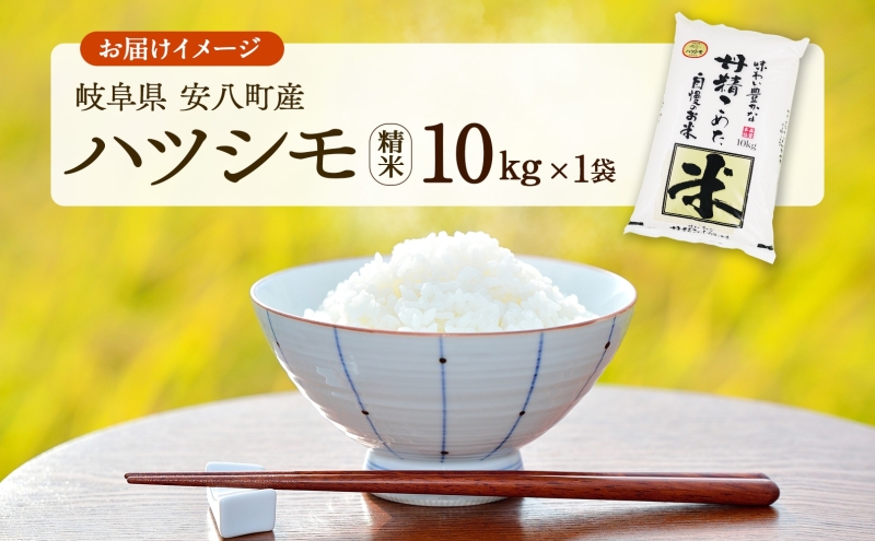 R7年産  特選米 ハツシモ 精米 10kg ×1袋 お米 米 白米 ごはん  精白米 ご飯 はつしも 令和7年産 ブランド米 低農薬 お取り寄せ 産地直送 クリーンファームまき 送料無料 岐阜県 安八町