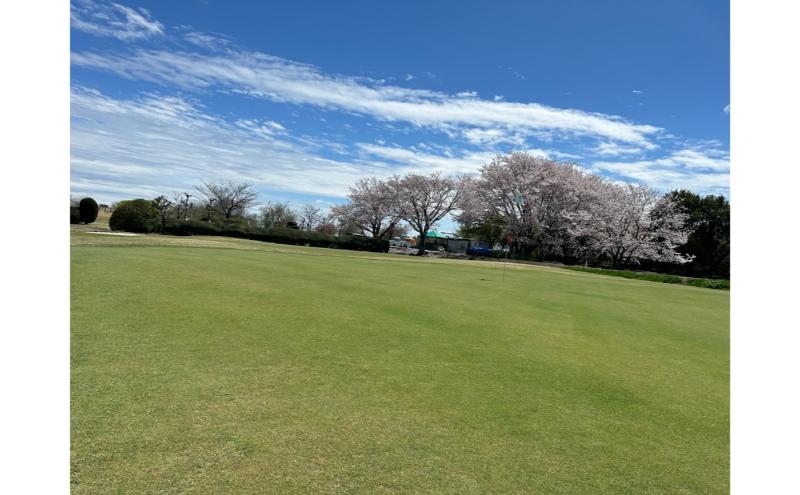 あんぱちパブリックゴルフクラブ利用券 1000円 チケット クーポン 利用権 スポーツ ゴルフ ゴルフ場 プレーチケット あんぱちパブリックゴルフクラブ 安八町 岐阜県