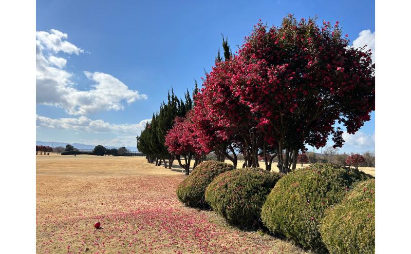 あんぱちパブリックゴルフクラブ利用券 1000円 チケット クーポン 利用権 スポーツ ゴルフ ゴルフ場 プレーチケット あんぱちパブリックゴルフクラブ 安八町 岐阜県