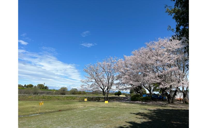 縺ゅs縺ア縺。繝代ヶ繝ェ繝繧ッ繧エ繝ォ繝輔け繝ゥ繝門茜逕ィ蛻ク 24000蜀 繝√こ繝繝 繧ッ繝シ繝昴Φ 蛻ゥ逕ィ讓ゥ 繧ケ繝昴シ繝 繧エ繝ォ繝 繧エ繝ォ繝募エ 繝励Ξ繝シ繝√こ繝繝 縺ゅs縺ア縺。繝代ヶ繝ェ繝繧ッ繧エ繝ォ繝輔け繝ゥ繝 螳牙ォ逕コ 蟯宣懃恁