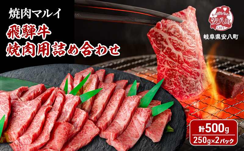 飛騨牛 焼肉用 約500g（約250g×2パック） A4～A5等級使用 焼肉 肉 牛 牛肉 お肉 国産 和牛 国産牛 BBQ お取り寄せ 冷蔵 送料無料 焼肉マルイ 岐阜県 安八町