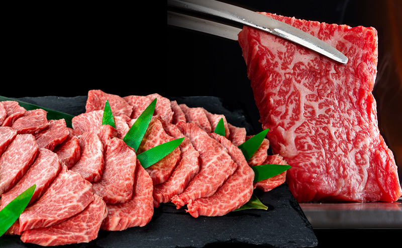 飛騨牛 赤身メイン 焼肉用 約500g（約250g×2パック）A4～A5等級使用 焼肉 肉 牛 牛肉 お肉 国産 和牛 国産牛 赤身 BBQ お取り寄せ 冷蔵 送料無料 焼肉マルイ 岐阜県 安八町