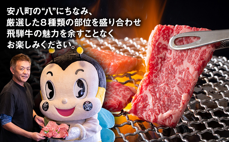 安八スペシャル 焼肉 厳選 8種盛り（トモサンカク、カイノミ、ササニク、三角バラ、ミスジ、ハネシタ、ヒレ、ロース）約800g（各約100g）A4～A5等級使用 肉 牛 牛肉 お肉 国産 和牛 国産牛 BBQ 冷蔵 お取り寄せ 送料無料 焼肉マルイ 岐阜県 安八町
