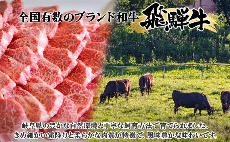 飛騨牛 焼肉用 約500g（約250g×2パック） A4～A5等級使用 焼肉 肉 牛 牛肉 お肉 国産 和牛 国産牛 BBQ お取り寄せ 冷蔵 送料無料 焼肉マルイ 岐阜県 安八町