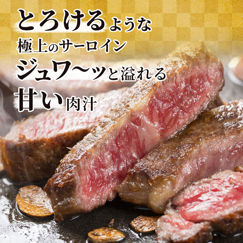 ふるさと納税　飛騨牛 牛肉 ステーキ サーロイン 250g×6枚 計1.5kg A5 和牛