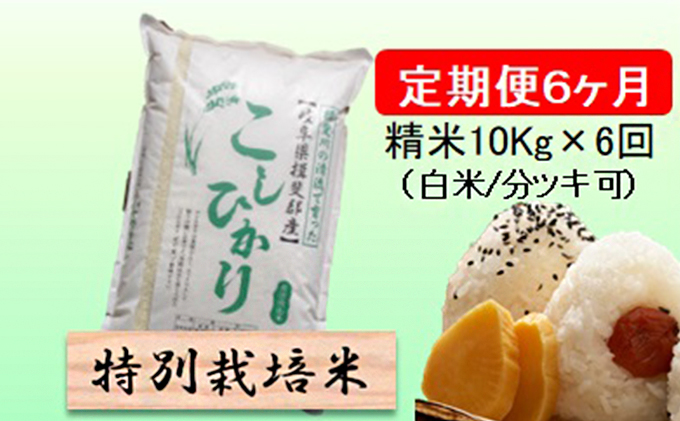 特別栽培米★[定期便] 6カ月★毎月 精米10kg（白米/7分/5分ツキ可）【コシヒカリ】　玄米は別に出品