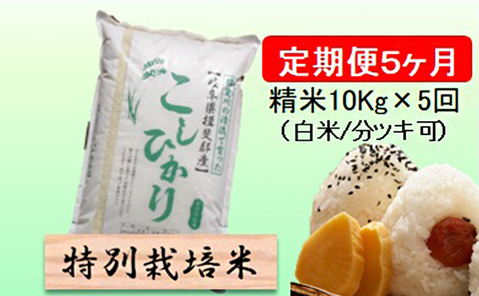 特別栽培米★[定期便] 5カ月★毎月 精米10kg（白米/7分/5分ツキ可）【コシヒカリ】　玄米は別に出品