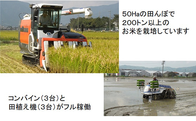 特別栽培米★[定期便] 6カ月★毎月 白米５kg 【夢ごこち】 お米 令和5年産 低アミロース モチモチ お弁当 おにぎり 安心 安全 美味しい 糖質 