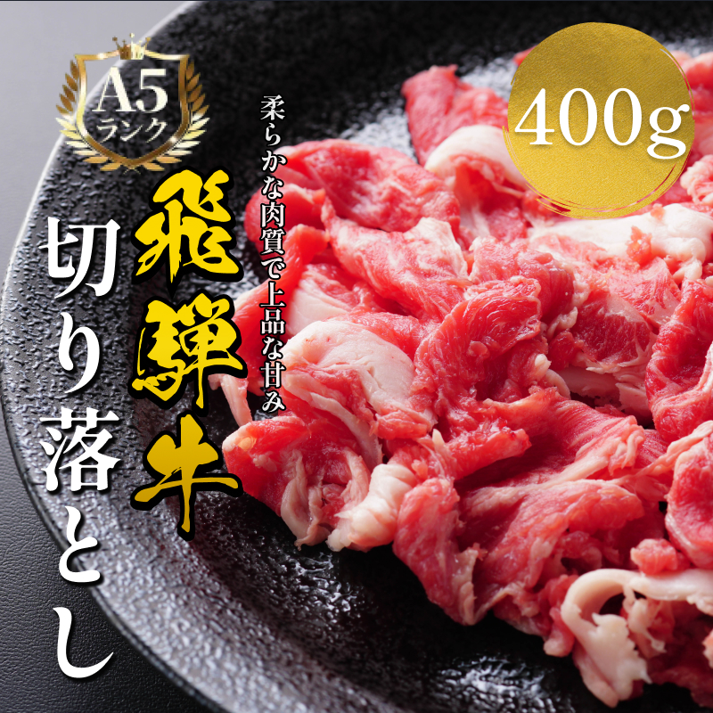 飛騨牛 牛肉 切り落とし 500g×2 計1kg A5 和牛