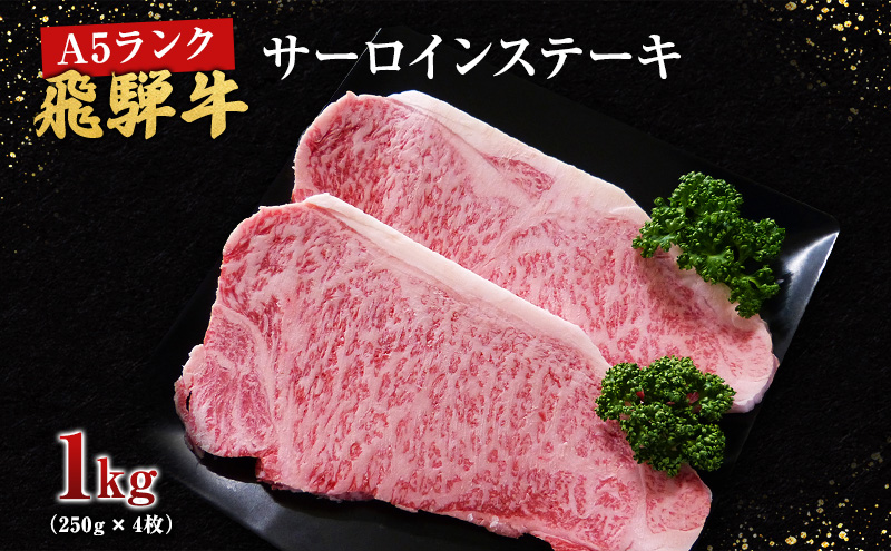 牛肉 飛騨牛 サーロイン ステーキ セット 1ｋｇ （ 1枚 約250ｇ × 4枚 ） 黒毛和牛 Ａ5 美味しい お肉 牛 肉 和牛 サーロインステーキ 【岐阜県池田町】