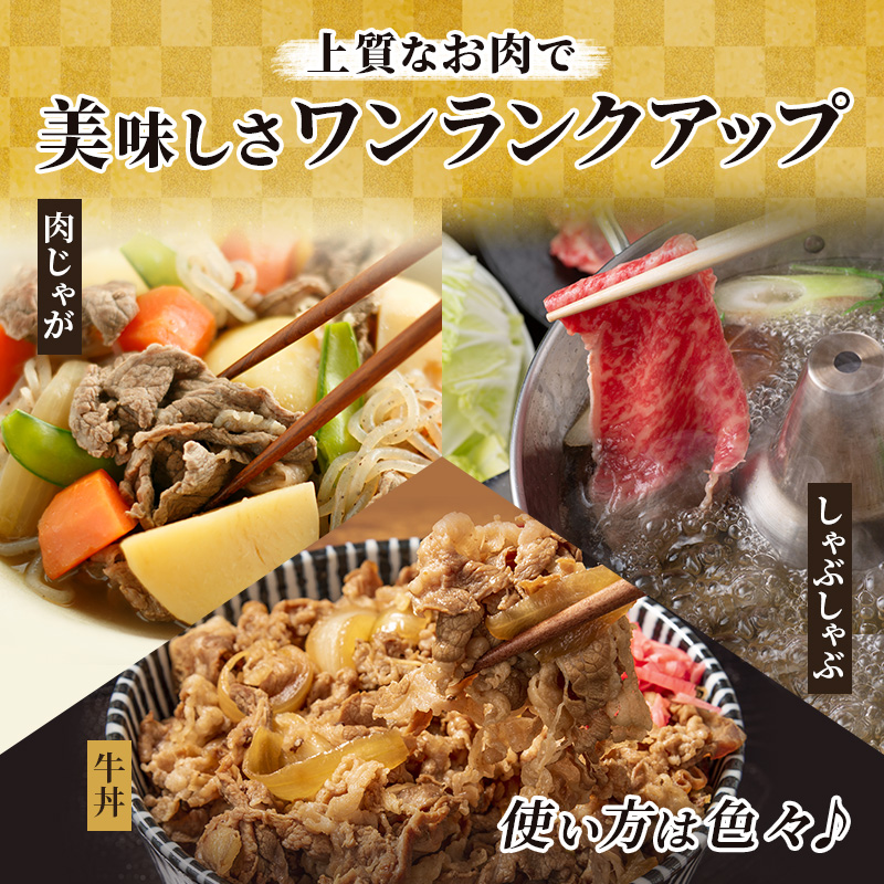 飛騨牛 牛肉 すき焼き しゃぶしゃぶ ロース スライス 500g×2 計1kg A5 和牛