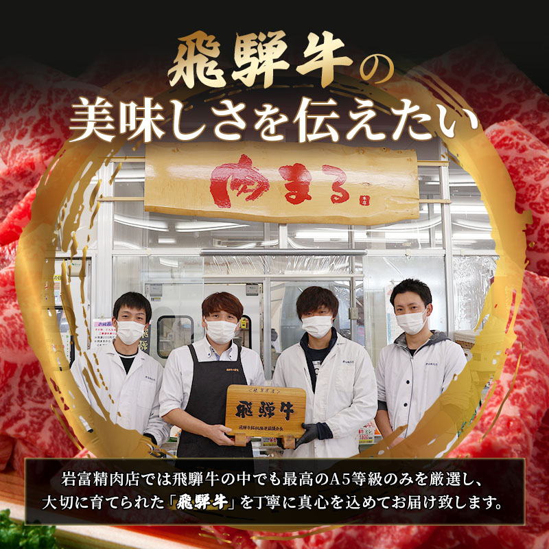 ふるさと納税　飛騨牛 牛肉 焼肉 ロース 500g×2 計1kg A5 和牛