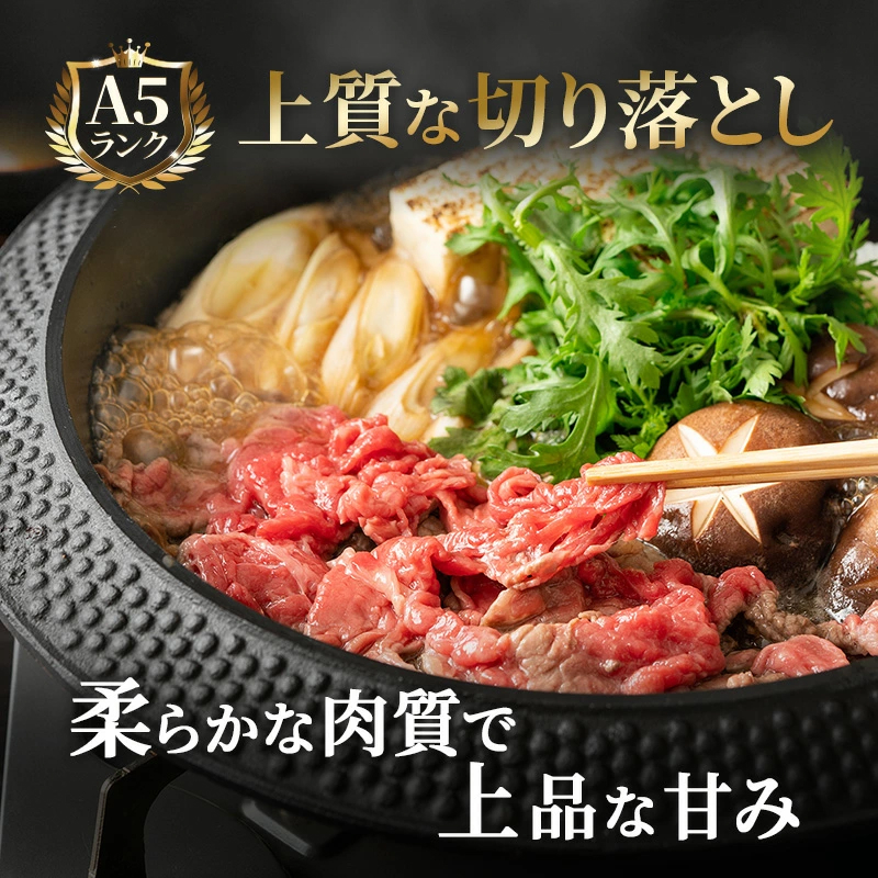 飛騨牛 牛肉 切り落とし 500g×2 計1kg A5 和牛 焼肉 もも肉 モモ バラ カルビ お肉 ブランド和牛 