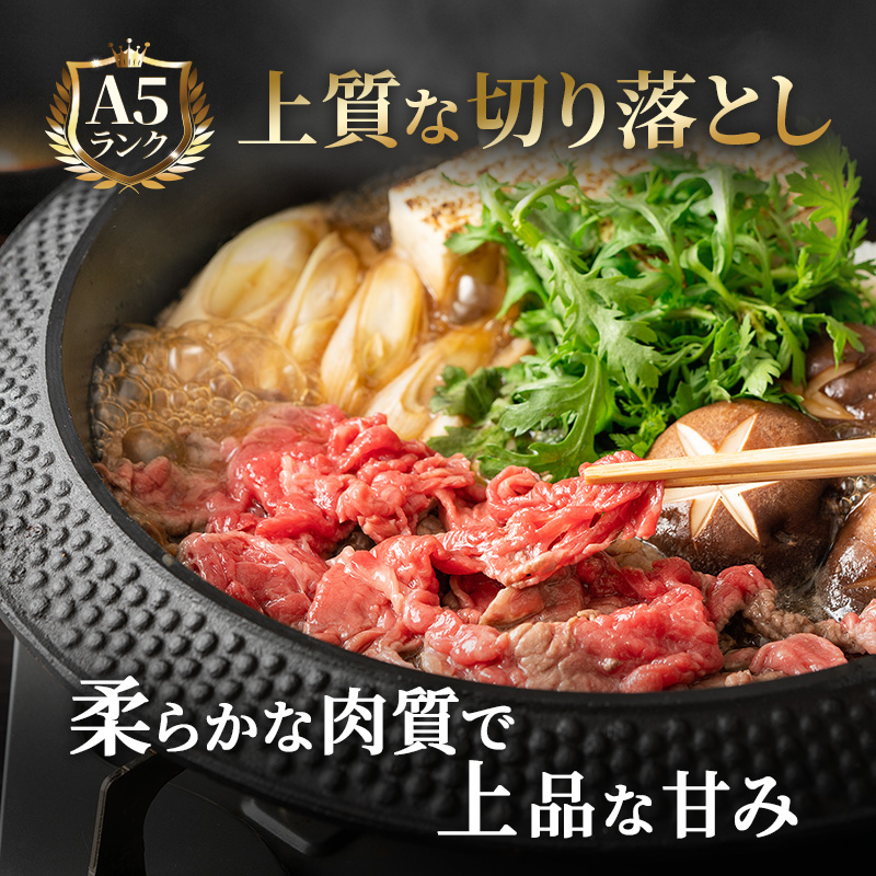 飛騨牛 牛肉 切り落とし 500g×4 計2kg A5 和牛