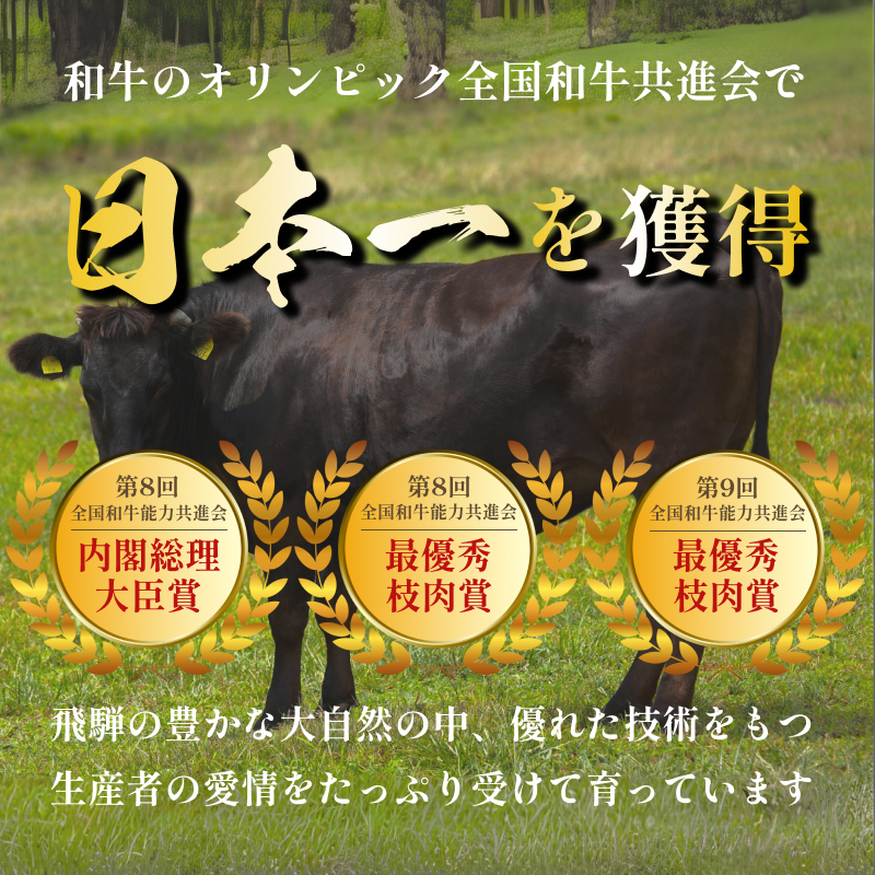 飛騨牛 牛肉 切り落とし 500g×2 計1kg A5 和牛 焼肉 もも肉 モモ バラ カルビ お肉 ブランド和牛 