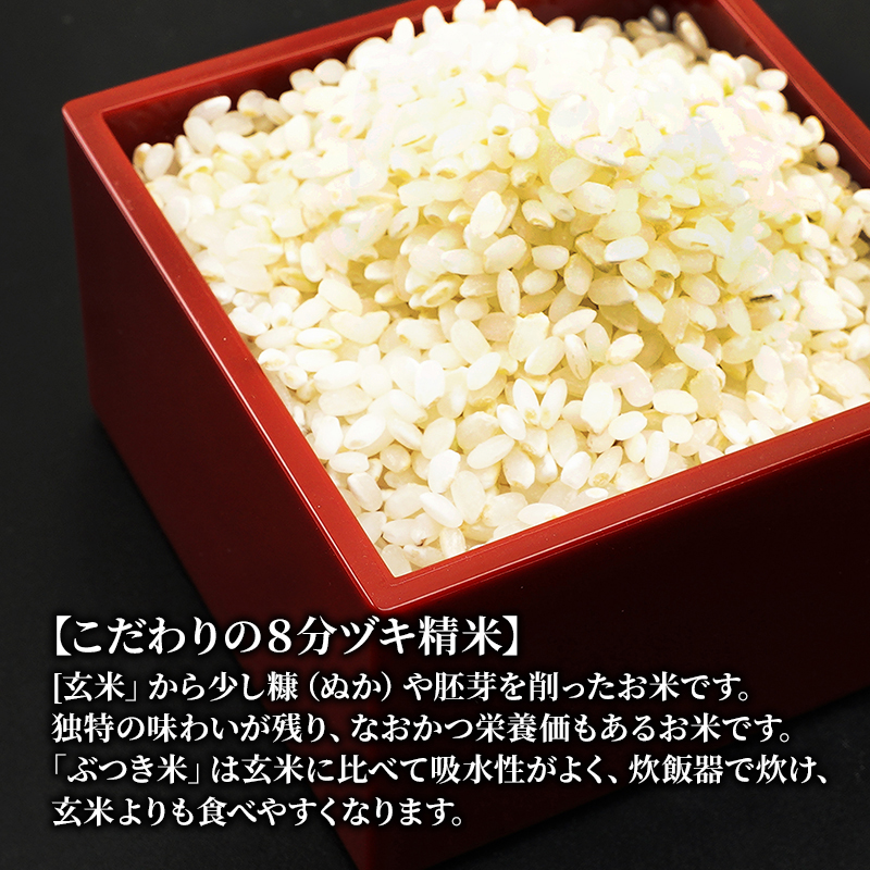 米 10kg ハツシモ 池田町産 8分づき 分つき精米 お米 おこめ こめ コメ ごはん ご飯 有機肥料 減農薬栽培 はつしも 岐阜県