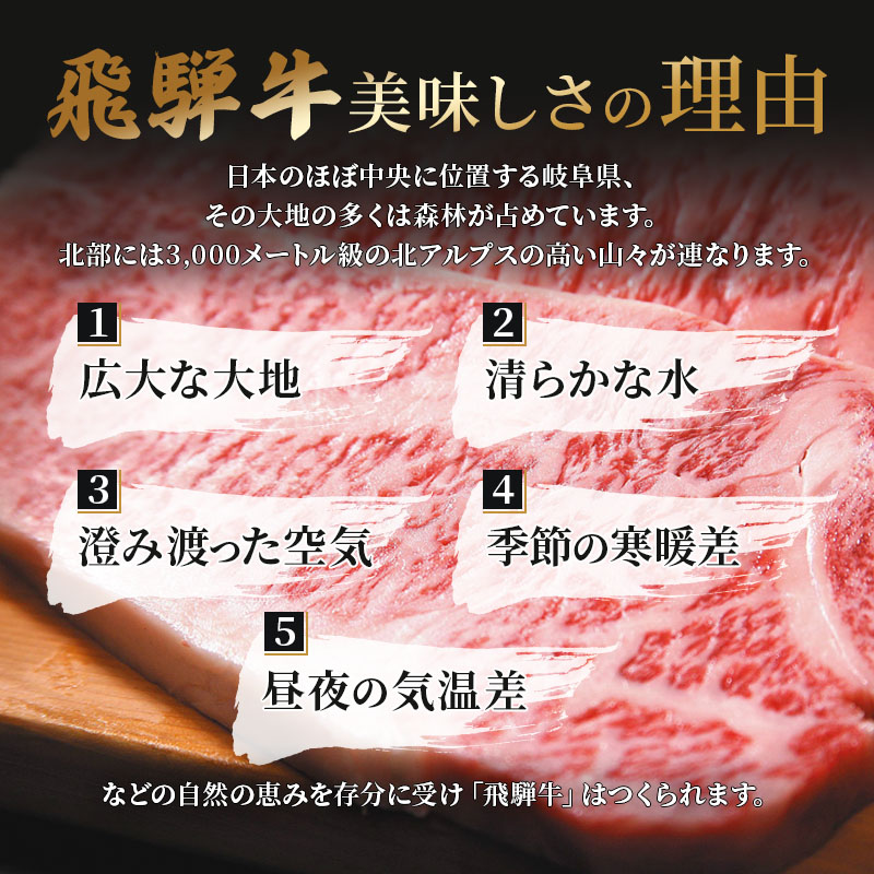 ふるさと納税　飛騨牛 牛肉 ステーキ ヒレ 150g×3枚 計450g A5 和牛