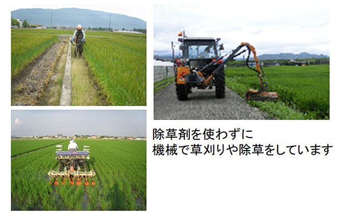 ç¹å¥æ œå¹ç±³â
çœç±³10kg ãã³ã·ãã«ãªã»ãã«ããŒã¯ã€ãŒã³ãå5Kg ãç±³ ãã©ã³ãç±³ éæç±³ ã飯 ãã«ãã ãç±³ã®çæ§ ãã©ã³ã¹ ã¢ãã¢ã äœã¢ãããŒã¹ç±³