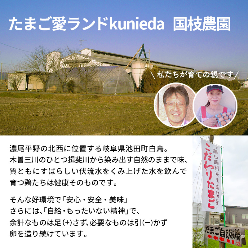 卵 わずか4%の希少な純国産鶏 いけだの森たまご 60個 こだわり おこめのたまご 玉子 鶏卵 生卵 産地直送 冷蔵配送 TKG 卵かけご飯 岐阜県産