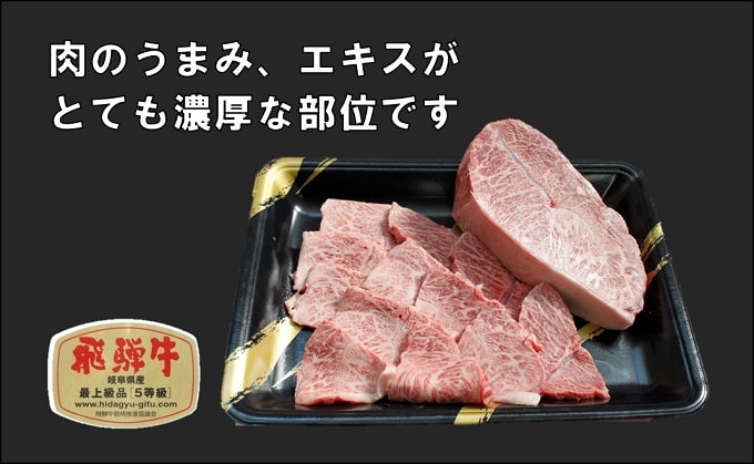 ふるさと納税　飛騨牛 牛肉 焼肉 肩肉 (ウデ)  500g×2 計1kg A5 和牛