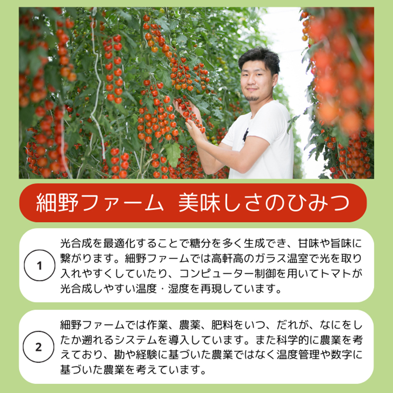【予約商品】農家直送！旬のおすすめトマト便【3月～7月】