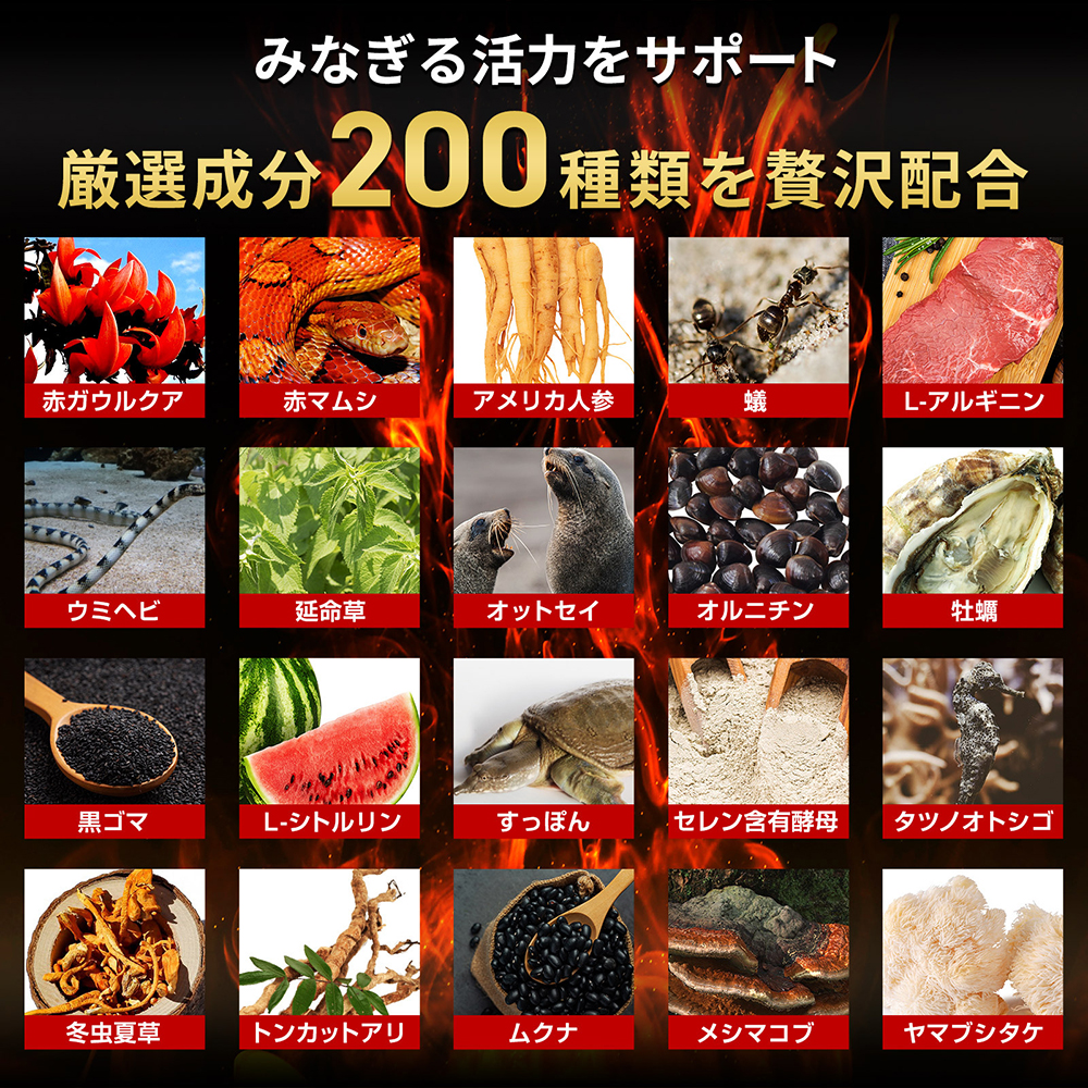 ハルクファクター 20倍濃縮 マカ 亜鉛 サプリ 30日分 153000mg 特許成分 エナジー成分200種 活力 スタミナ ローヤルゼリー コエンザイムQ10 サプリメント 男性 女性 妊活 栄養機能食品 国産 人気 美容