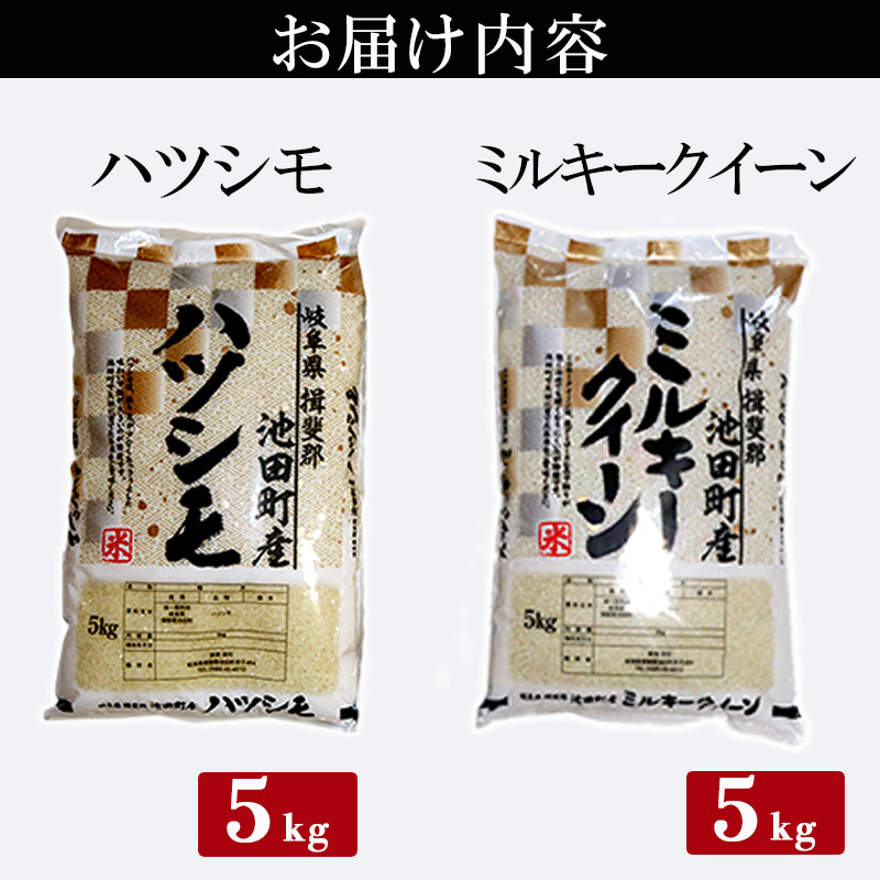 米 10kg (各5kg) ハツシモ ミルキークイーン 池田町産 8分づき 分つき精米 お米 おこめ こめ コメ ごはん ご飯 有機肥料 減農薬栽培 はつしも ミルキークィーン 岐阜県