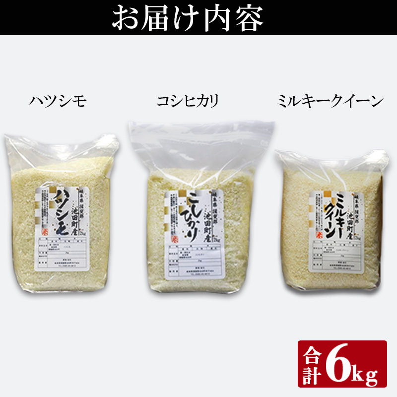 米 6kg (各2kg) ハツシモ コシヒカリ ミルキークイーン 池田町産 8分づき 分つき精米 お米 おこめ こめ コメ ごはん ご飯 有機肥料 減農薬栽培 はつしも こしひかり ミルキークィーン 岐阜県