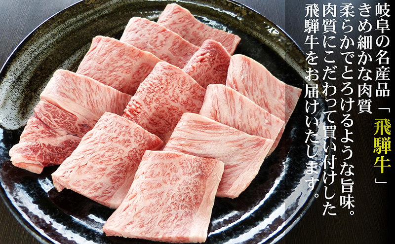 【定期便12ヶ月】牛肉 飛騨牛 焼き肉 セット ロース 又は 肩ロース 300g 黒毛和牛 Ａ5 美味しい お肉 牛 肉 和牛 焼肉 BBQ バーベキュー 【岐阜県池田町】