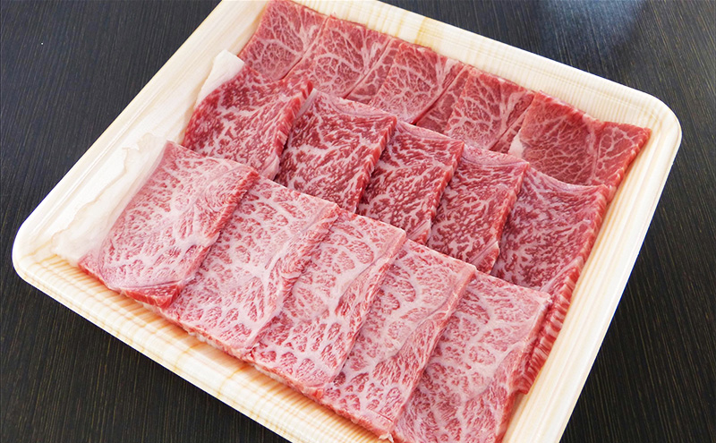 【定期便3ヶ月】牛肉 飛騨牛 焼き肉 セット 赤身 モモ 又は カタ 300g 黒毛和牛 Ａ5 美味しい お肉 牛 肉 和牛 焼肉 BBQ バーベキュー 【岐阜県池田町】