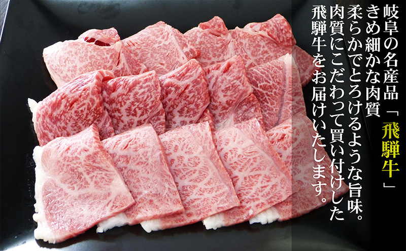 【定期便3ヶ月】牛肉 飛騨牛 焼き肉 セット 赤身 モモ 又は カタ 300g 黒毛和牛 Ａ5 美味しい お肉 牛 肉 和牛 焼肉 BBQ バーベキュー 【岐阜県池田町】