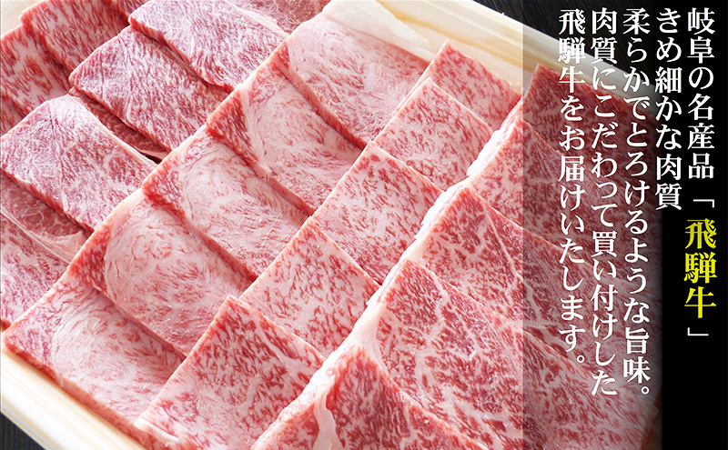 【定期便6ヶ月】牛肉 飛騨牛 焼き肉 セット 赤身 モモ 又は カタ 500g 黒毛和牛 Ａ5 美味しい お肉 牛 肉 和牛 焼肉 BBQ バーベキュー 【岐阜県池田町】