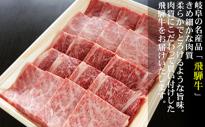 【定期便12ヶ月】牛肉 飛騨牛 焼き肉 セット ロース 又は 肩ロース 500g 黒毛和牛 Ａ5 美味しい お肉 牛 肉 和牛 焼肉 BBQ バーベキュー 【岐阜県池田町】