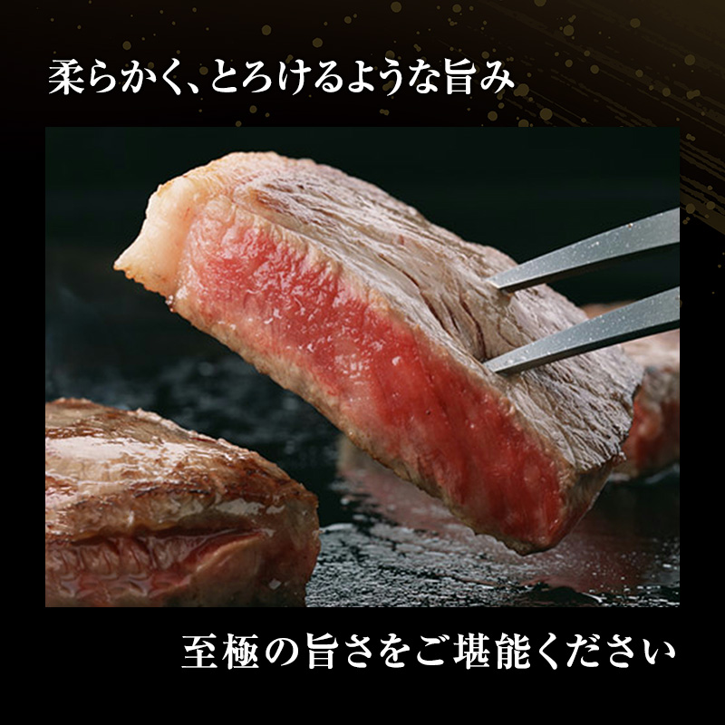 【定期便3ヶ月】牛肉 飛騨牛 サーロイン ステーキ セット 600g （ 1枚 約300g × 2枚 ） 黒毛和牛 Ａ5 美味しい お肉 牛 肉 和牛 サーロインステーキ 【岐阜県池田町】