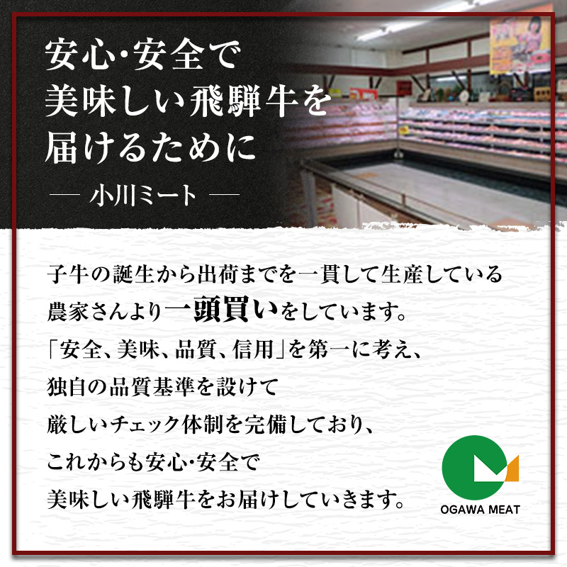 【定期便6ヶ月】牛肉 飛騨牛 サーロイン ステーキ セット 600g （ 1枚 約300g × 2枚 ） 黒毛和牛 Ａ5 美味しい お肉 牛 肉 和牛 サーロインステーキ 【岐阜県池田町】