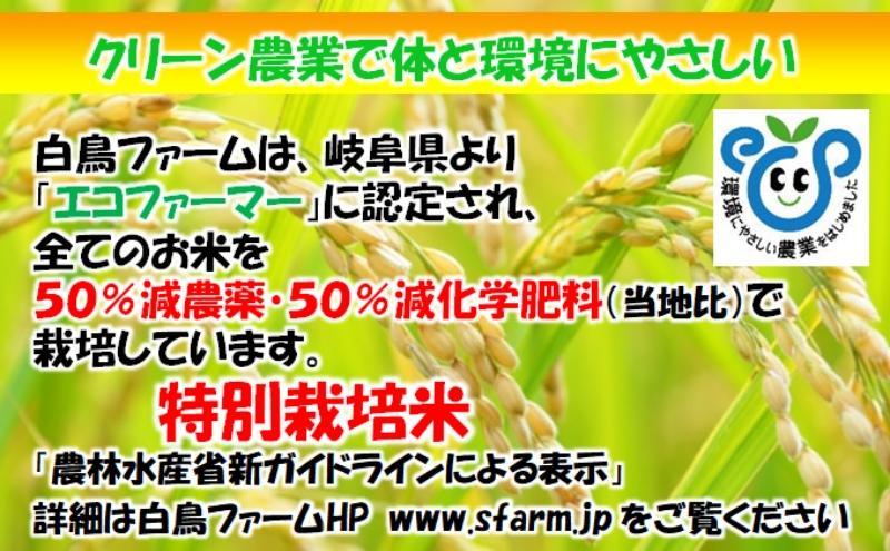 特別栽培米★[定期便] 3カ月★毎月 白米10kg【ミルキークイーン】 米 お米 白米 ミルキー クイーン 定期 岐阜県 池田町