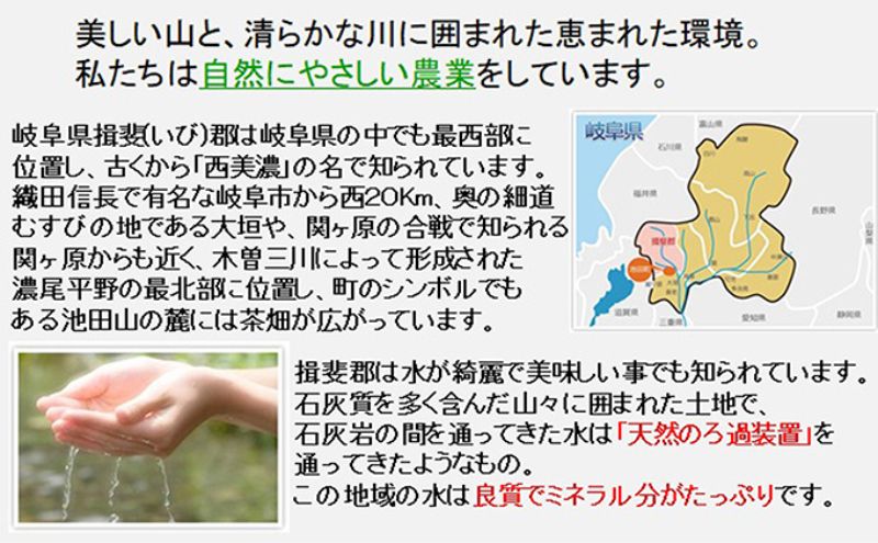 【令和7年産】特別栽培米 10kg【玄米】（コシヒカリ）