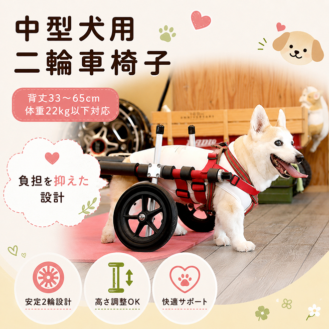 中型犬用二輪車椅子（背丈33～65cm　体重22キロ以下） 【!寄附前に事業者へ相談必要!】 雑貨 日用品