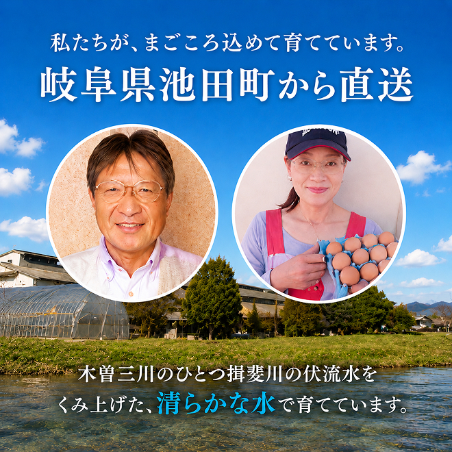 卵 わずか4%の希少な純国産鶏 いけだの森たまご 40個 こだわり おこめのたまご 玉子 鶏卵 生卵 産地直送 冷蔵配送 TKG 卵かけご飯 岐阜県産 
