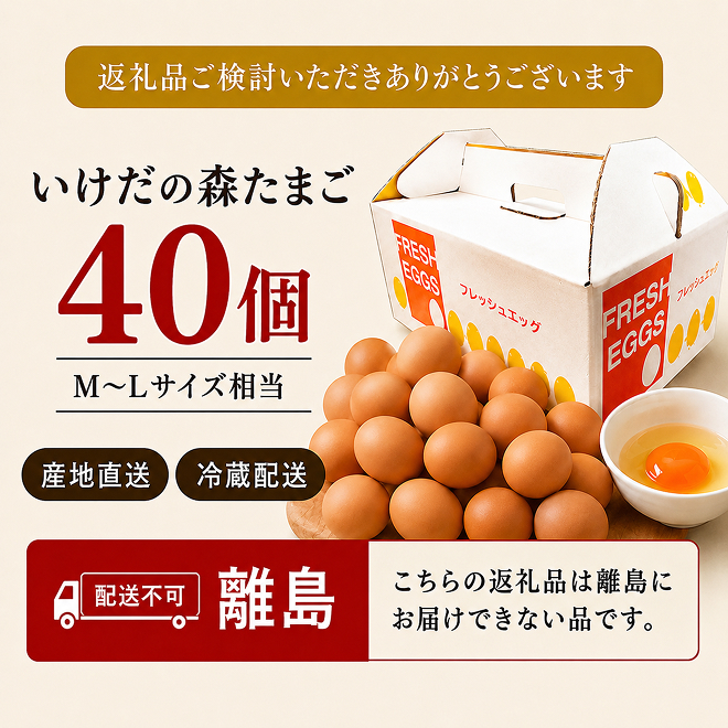 卵 わずか4%の希少な純国産鶏 いけだの森たまご 40個 こだわり おこめのたまご 玉子 鶏卵 生卵 産地直送 冷蔵配送 TKG 卵かけご飯 岐阜県産 