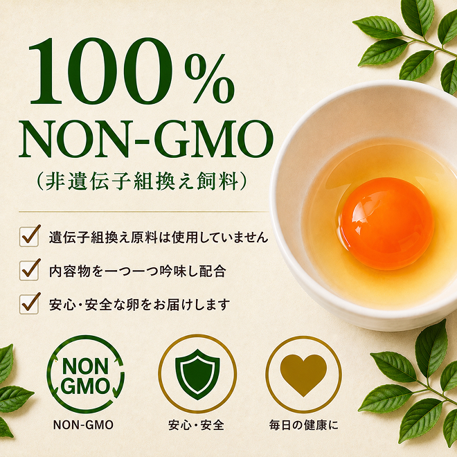 卵 わずか4%の希少な純国産鶏 いけだの森たまご 60個 こだわり おこめのたまご 玉子 鶏卵 生卵 産地直送 冷蔵配送 TKG 卵かけご飯 岐阜県産 
