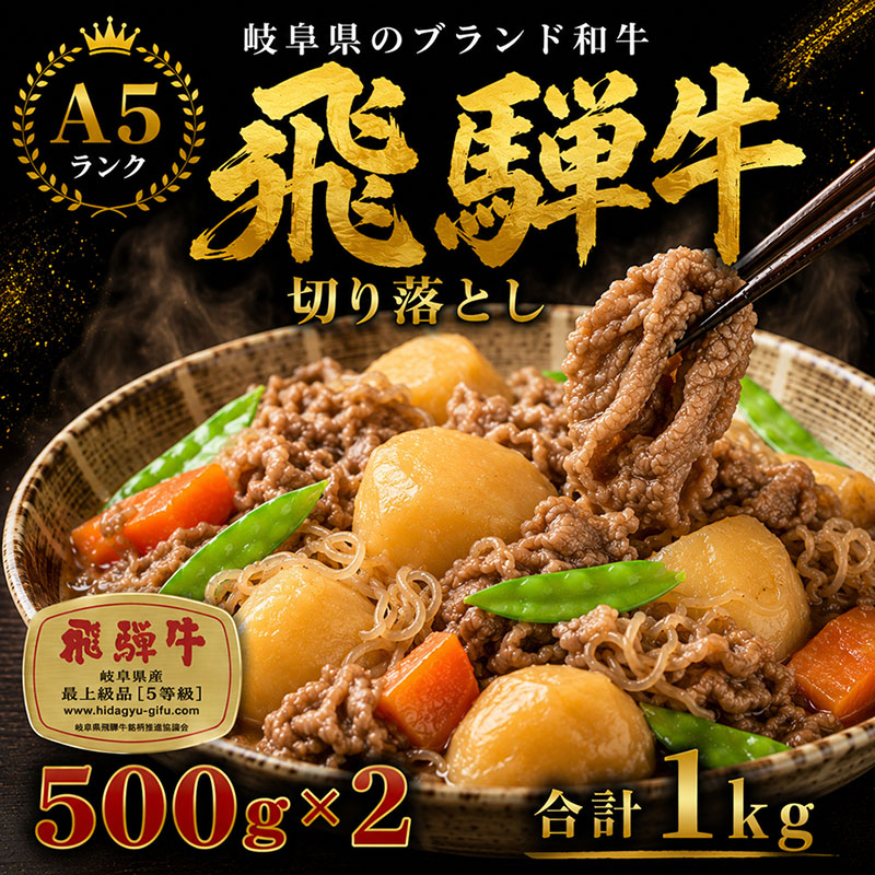 飛騨牛 牛肉 切り落とし 500g×2 計1kg A5 和牛 焼肉 もも肉 モモ バラ カルビ お肉 ブランド和牛
